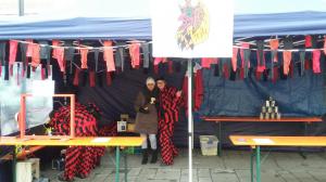 2017 02 25 10 14-003