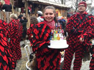 2017 02 26 13 33-006