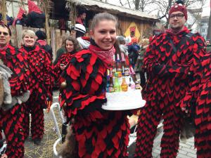 2017 02 26 13 33-007